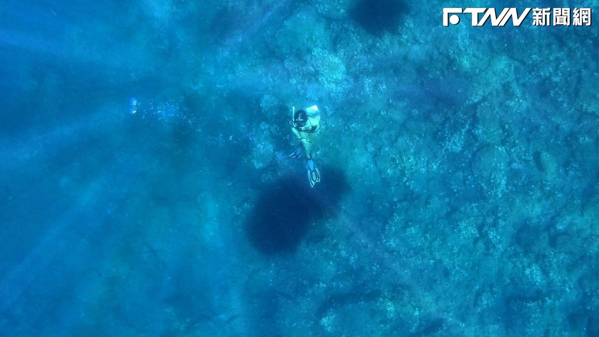 馬爾地夫深海洞穴奪5命！教授帶女兒下水也罹難　當地官員：史上最慘潛水事故